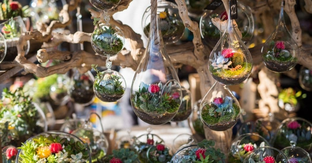 Great Books to Learn More about Fairy DIY Ideas
