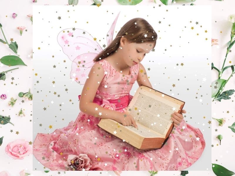 Beautiful Fairy Gifts for a Reader