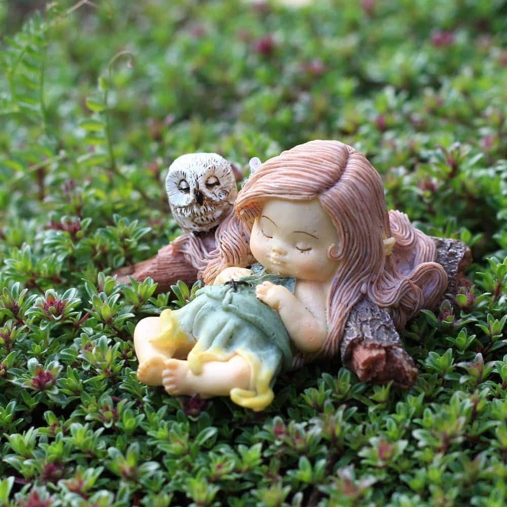 top collection miniature