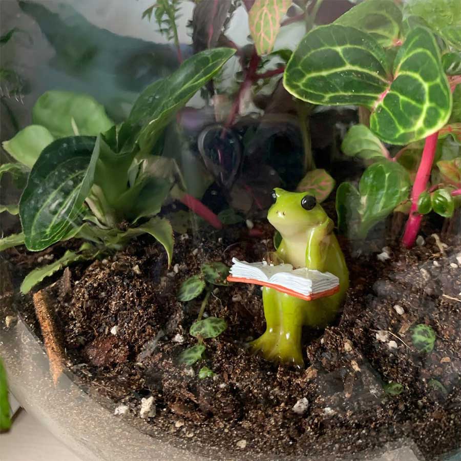 Miniature-Small-Frog-Reading-Book,-Rabbit-Reading-Book-with-Bird，-Animal-Figurines-Fairy-Garden-Supplies-Terrarium-Accessories-DIY-Miniature-Garden-(Miniature-Small-Frog-Reading-Book)