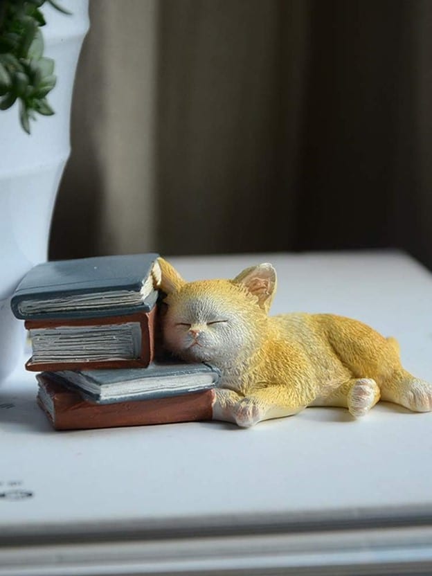 Time For a Cat Nap