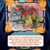 How to Transform Your Fairy Garden