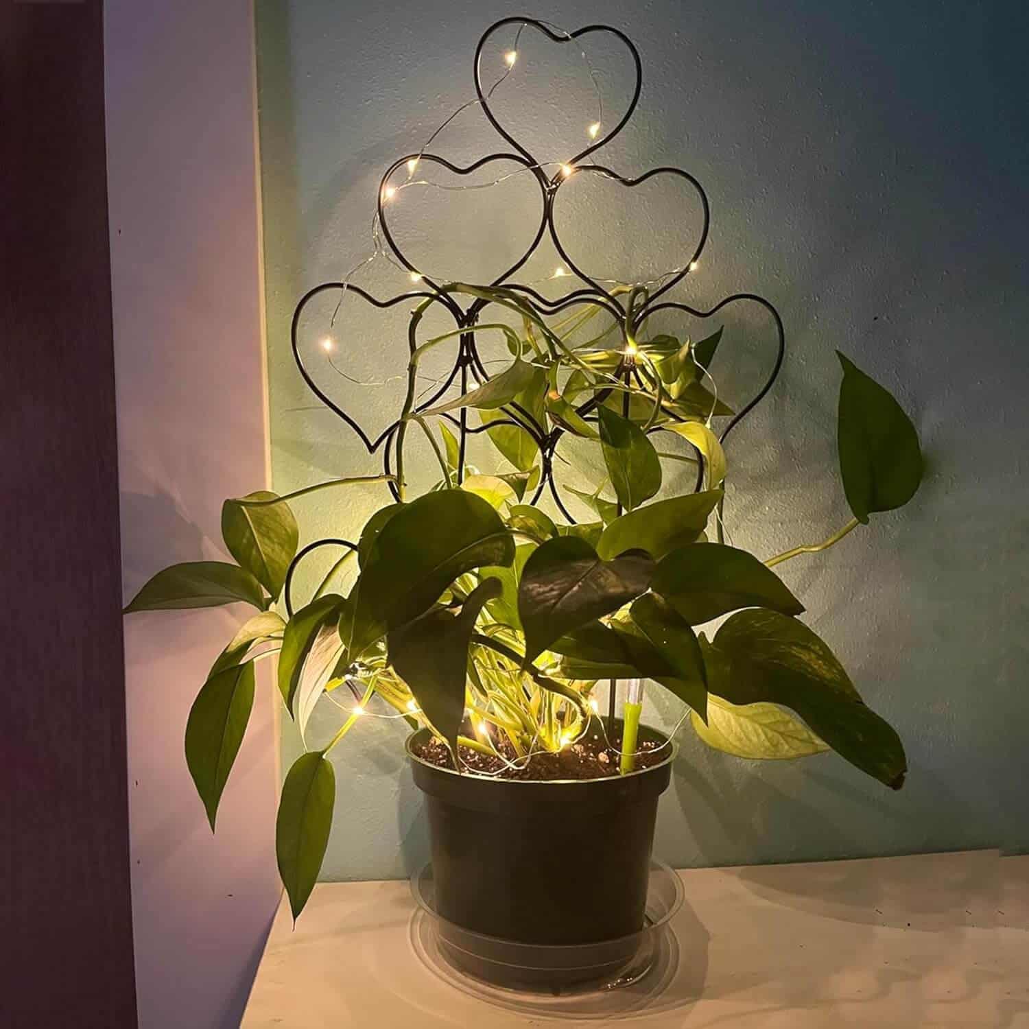 Beautiful Heart Trellis
