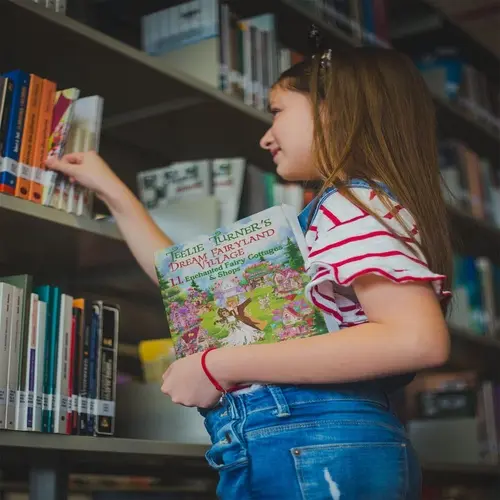 Fairyland-Dream-Village-Girl-Library-500x500 (1)